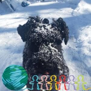 Meet your Posher, Debra